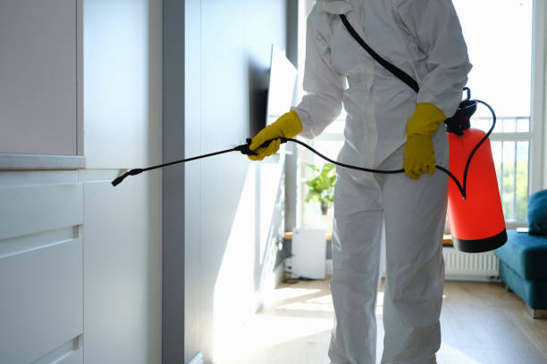 Best Commercial Mold Removal  in Kremmling, CO